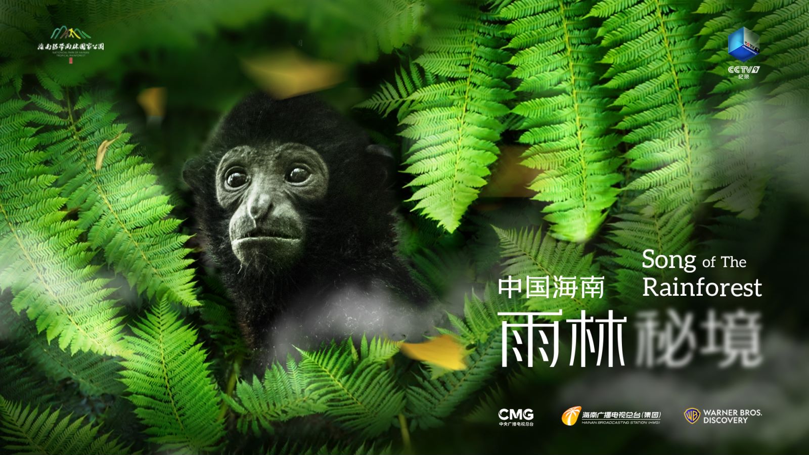 trailer-for-china-s-hainan-song-of-the-rainforest-officially-launched